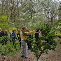 People walking among greenery