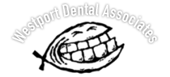Link to Westport Dental home page